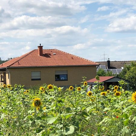 Ferienwohnung Carpe Diem Scheuerfeld Dış mekan fotoğraf