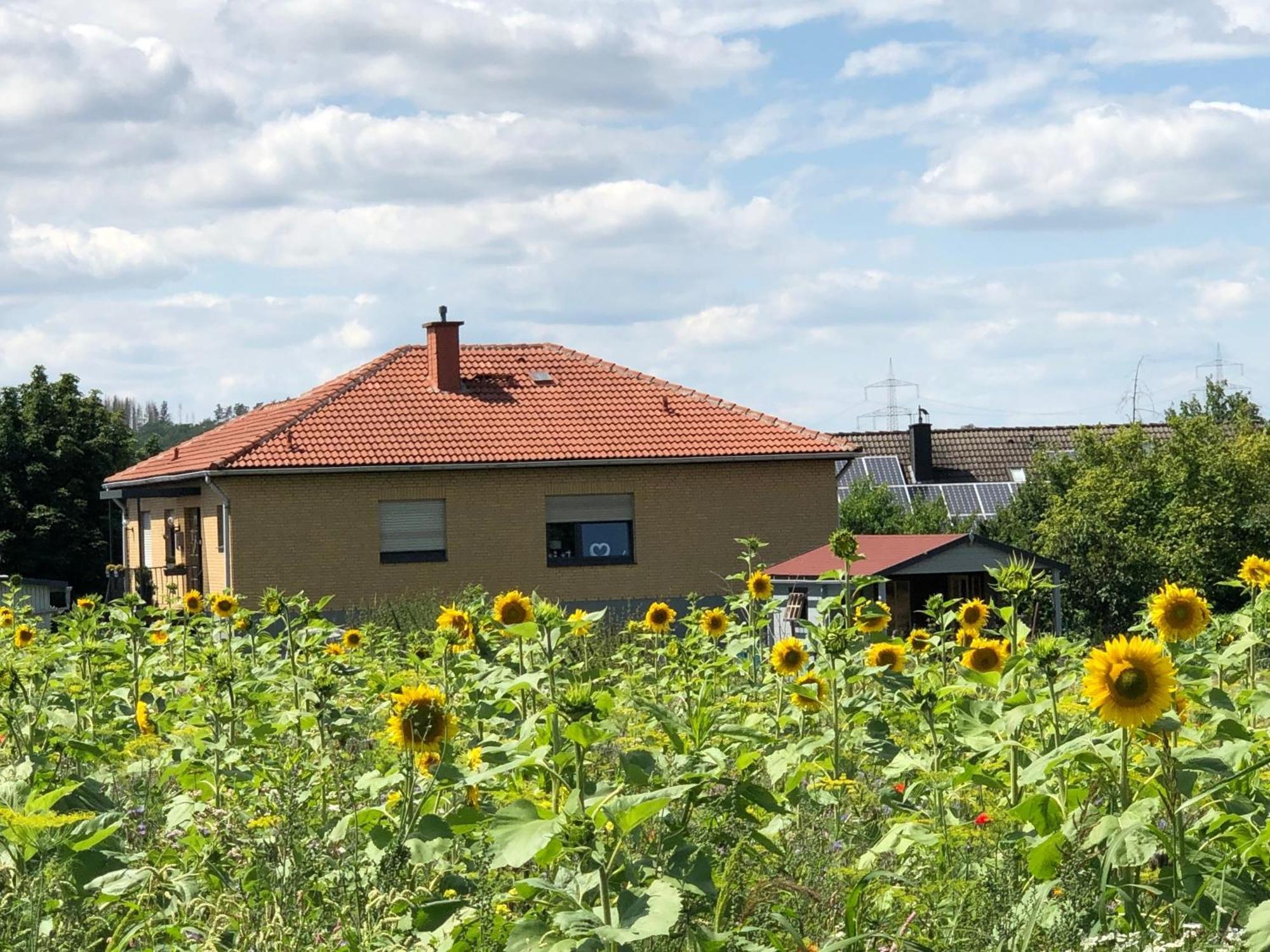 Ferienwohnung Carpe Diem Scheuerfeld Dış mekan fotoğraf